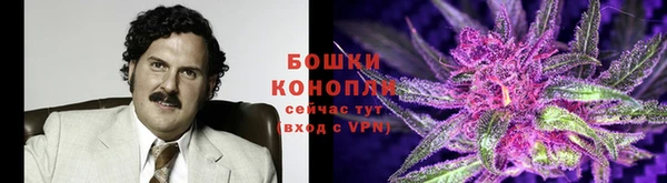 ECSTASY Дмитровск