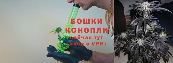 хмурый Дмитриев