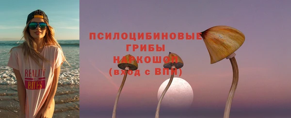 ECSTASY Дмитровск
