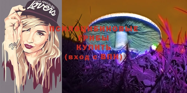 трава Дмитров