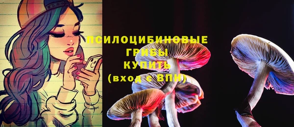 трава Дмитров