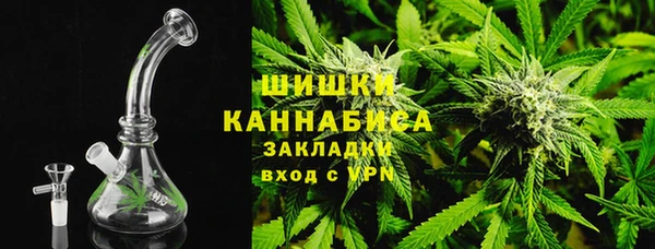 хмурый Дмитриев