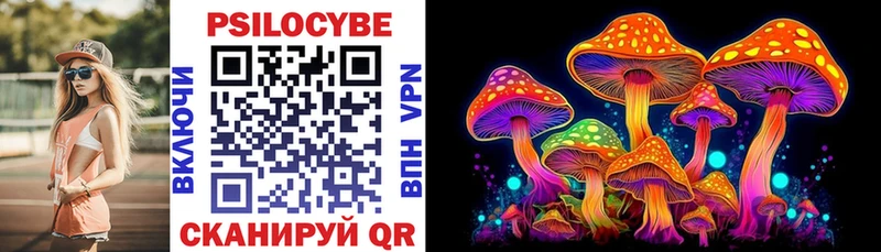 Галлюциногенные грибы Psilocybe  Купить закладки  Малаховка 